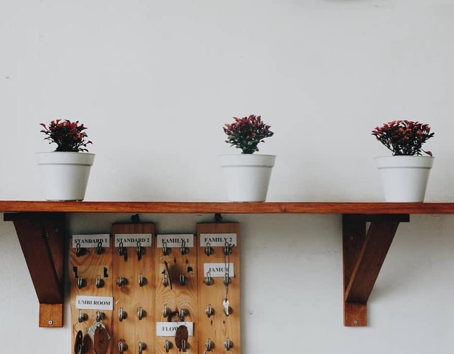 Tani Jiwo Hostel Diyeng Zewnętrze zdjęcie